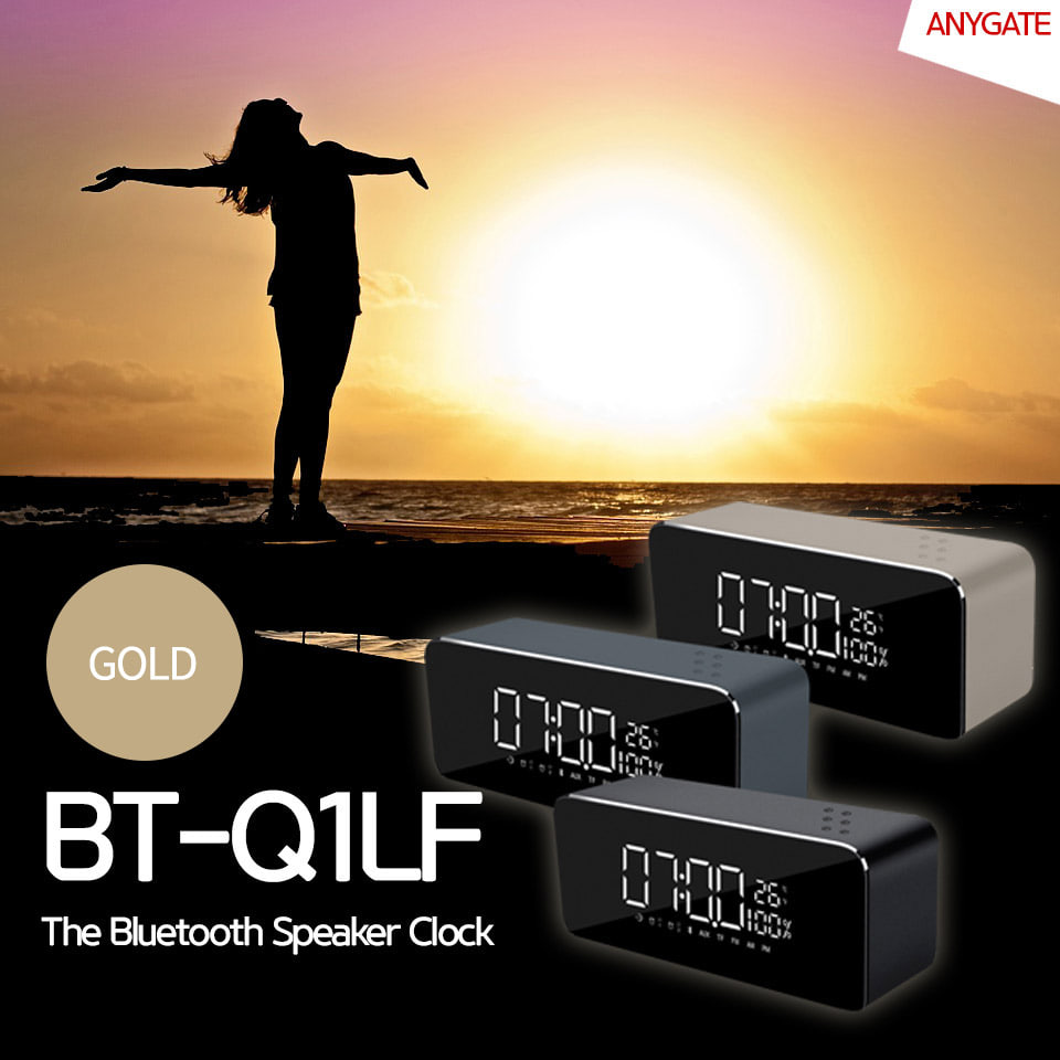 ABBT-Q1-GOLD 블루투스 스피커 BT-Q1 FM라디오 음악