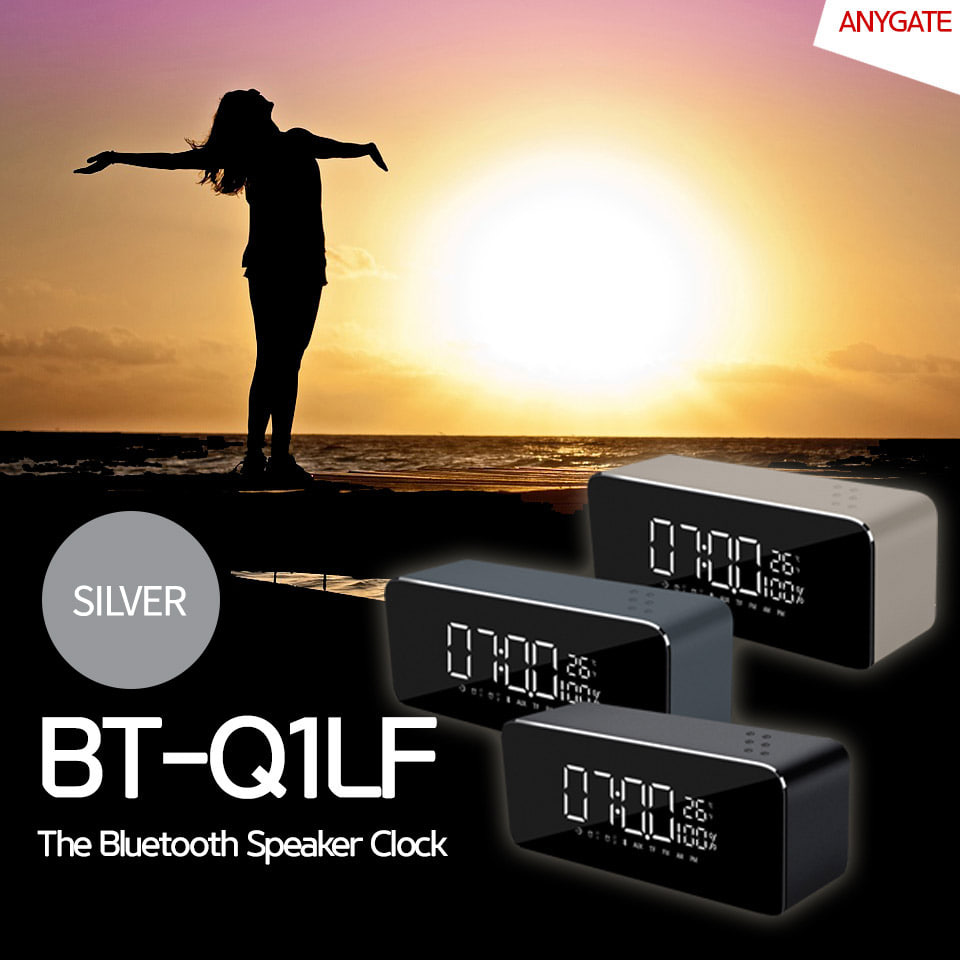 ABBT-Q1-SIVER 블루투스 스피커 BT-Q1 FM라디오 음악